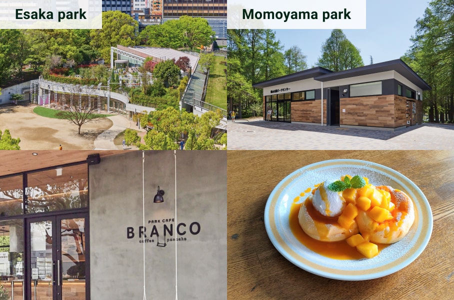 Park Cafe Branco
