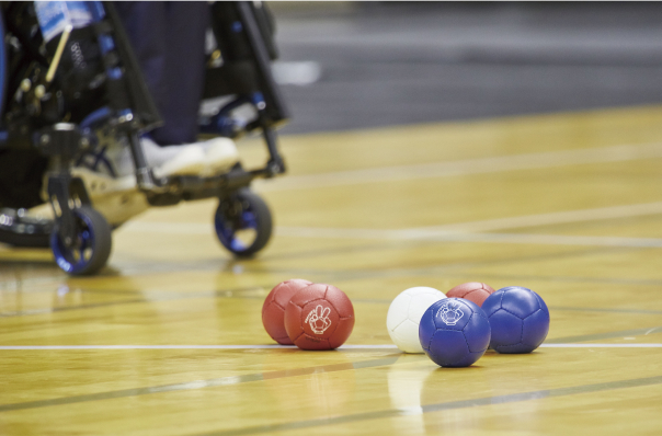Para Sports