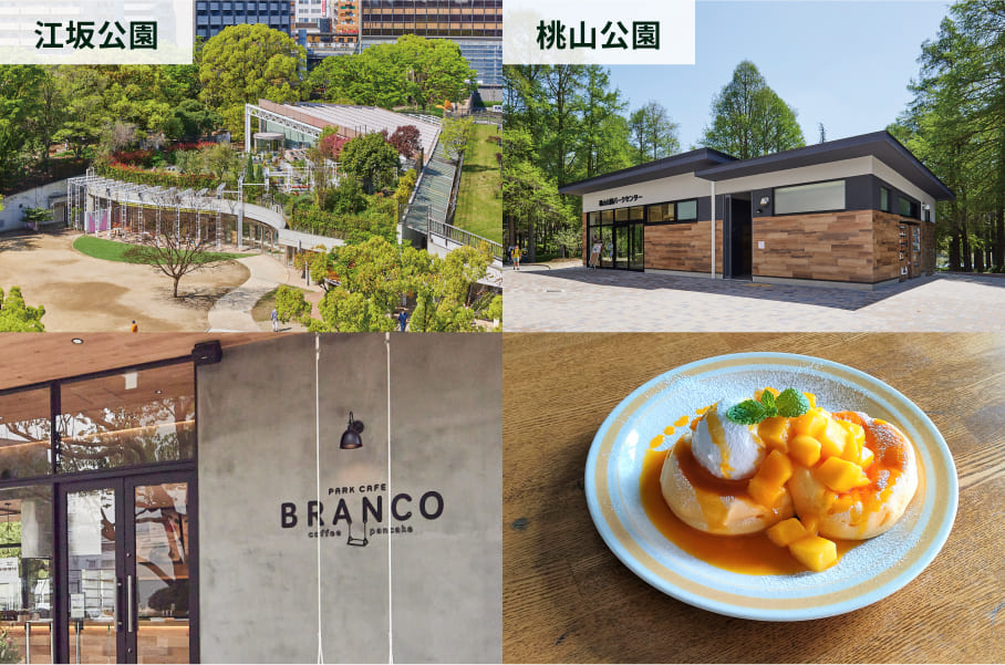 Park Cafe Branco