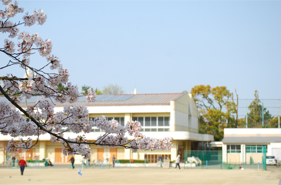 학교